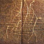 Tweeluik vertakking - door Bert van den Heuvel. Uit de "Abstract Expressionisme collectie" van i Art Bert.